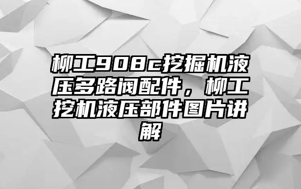 柳工908c挖掘機(jī)液壓多路閥配件，柳工挖機(jī)液壓部件圖片講解