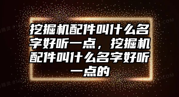 挖掘機配件叫什么名字好聽一點，挖掘機配件叫什么名字好聽一點的