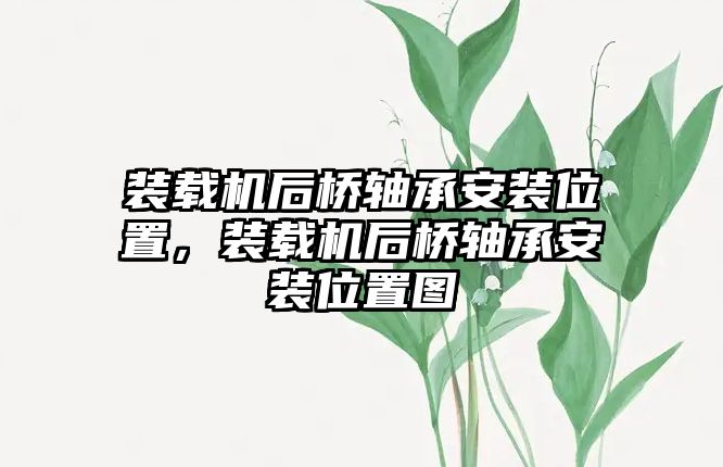 裝載機(jī)后橋軸承安裝位置，裝載機(jī)后橋軸承安裝位置圖