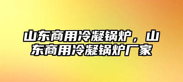 山東商用冷凝鍋爐，山東商用冷凝鍋爐廠家