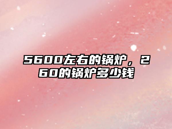 5600左右的鍋爐，260的鍋爐多少錢