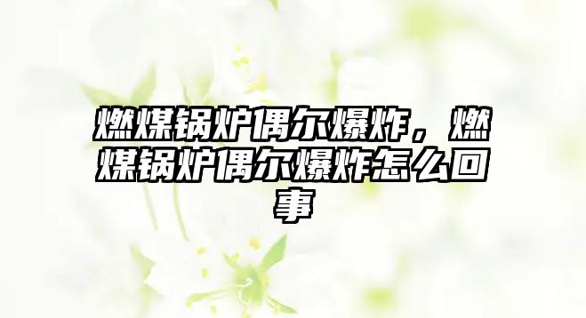 燃煤鍋爐偶爾爆炸，燃煤鍋爐偶爾爆炸怎么回事