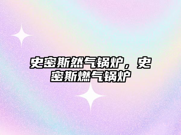 史密斯然氣鍋爐，史密斯燃?xì)忮仩t