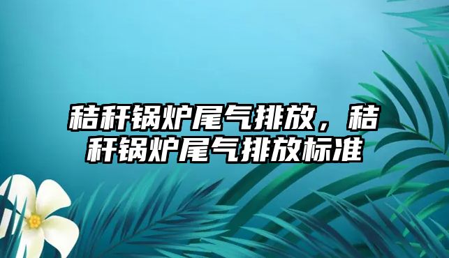 秸稈鍋爐尾氣排放，秸稈鍋爐尾氣排放標(biāo)準(zhǔn)