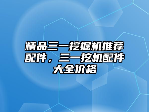 精品三一挖掘機(jī)推薦配件，三一挖機(jī)配件大全價格