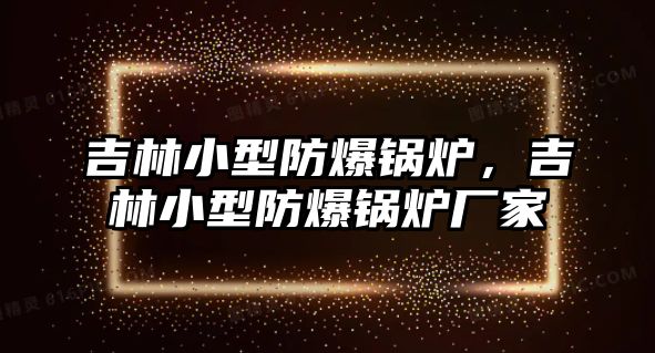 吉林小型防爆鍋爐，吉林小型防爆鍋爐廠家