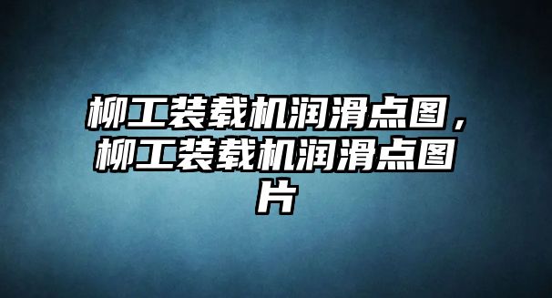 柳工裝載機(jī)潤滑點(diǎn)圖，柳工裝載機(jī)潤滑點(diǎn)圖片