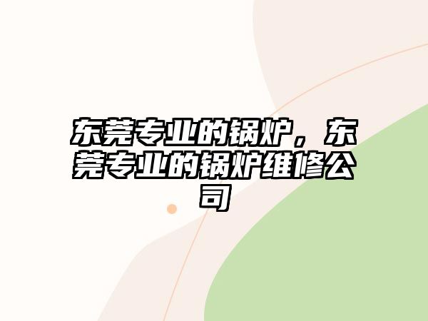 東莞專業(yè)的鍋爐，東莞專業(yè)的鍋爐維修公司