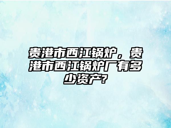 貴港市西江鍋爐，貴港市西江鍋爐廠有多少資產(chǎn)?