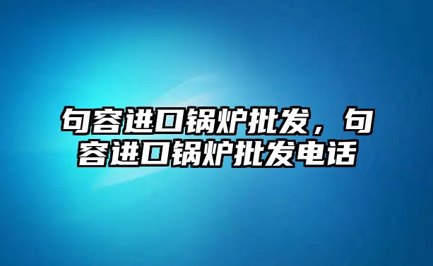 句容進(jìn)口鍋爐批發(fā)，句容進(jìn)口鍋爐批發(fā)電話