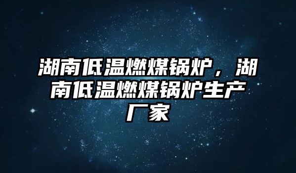 湖南低溫燃煤鍋爐，湖南低溫燃煤鍋爐生產(chǎn)廠家