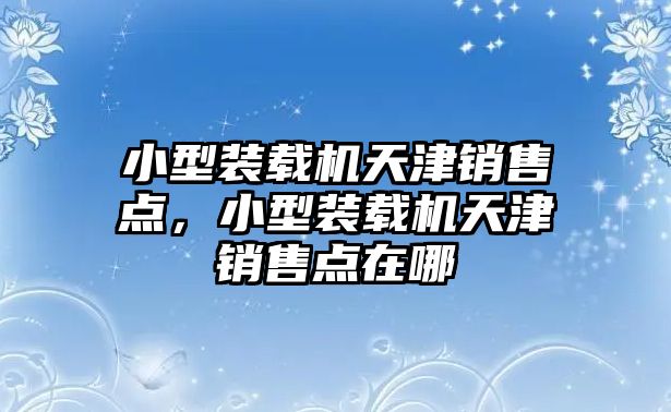 小型裝載機(jī)天津銷售點(diǎn)，小型裝載機(jī)天津銷售點(diǎn)在哪