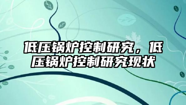 低壓鍋爐控制研究，低壓鍋爐控制研究現(xiàn)狀