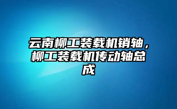 云南柳工裝載機銷軸，柳工裝載機傳動軸總成