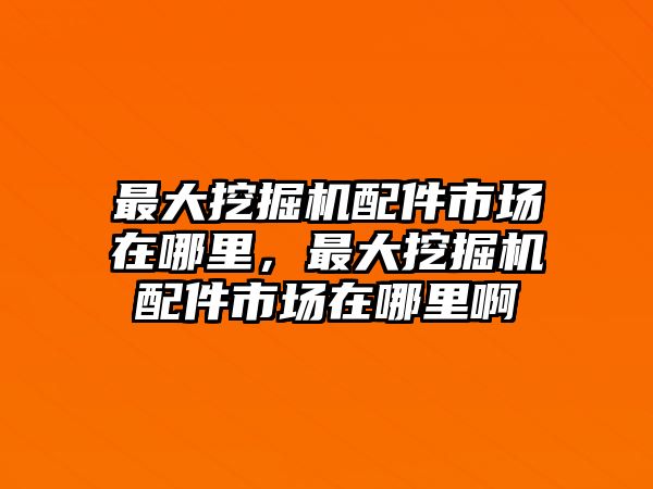 最大挖掘機(jī)配件市場在哪里，最大挖掘機(jī)配件市場在哪里啊